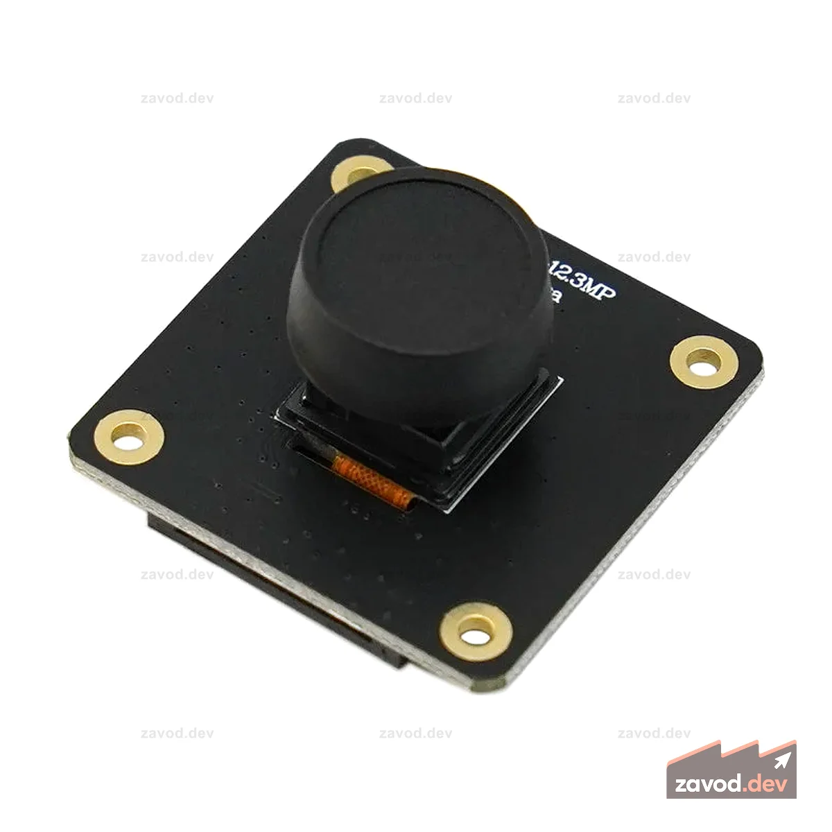 IMX378-190 Модуль широкоугольной камеры 12,3 МП для Raspberry Pi 4B/5 (разрешение 4056x3040, угол обзора 190°)