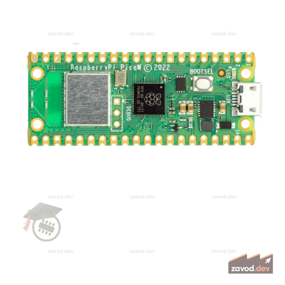 Raspberry Pi® Pico WH (с разъемами)