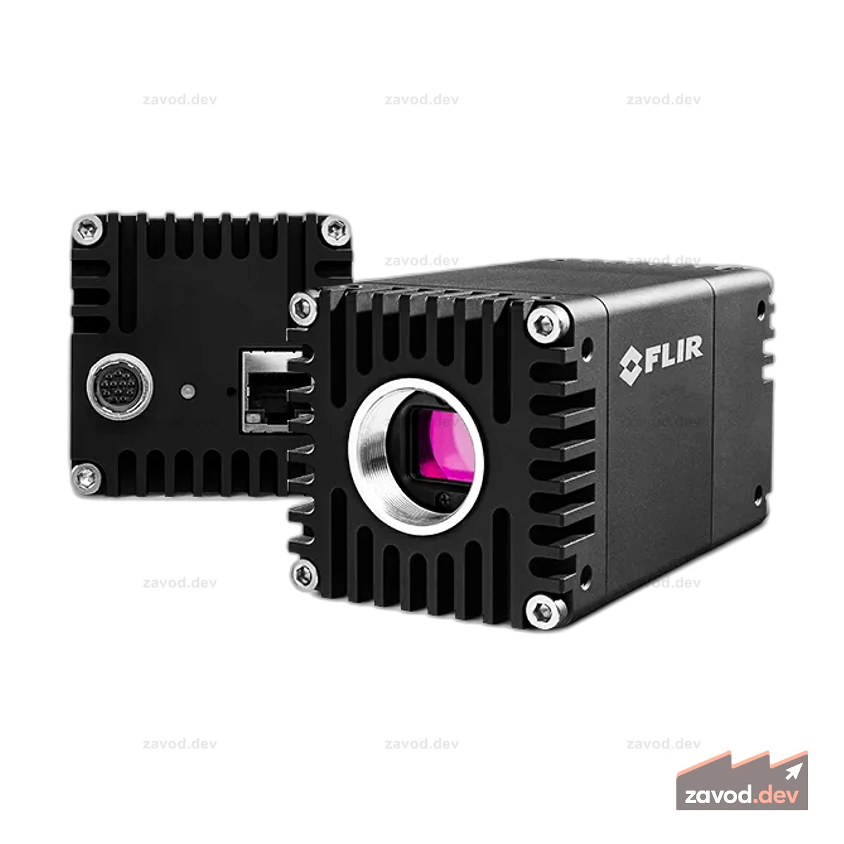 Teledyne FLIR Oryx 10GigE: 31 МП, цветной